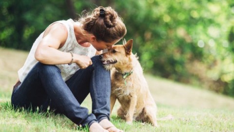 A chi lasciare gli animali quando si parte per un viaggio? – ViaggiNews.com