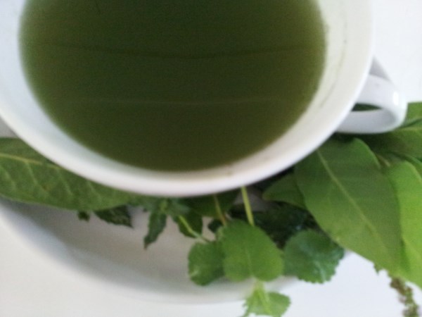 Infuso-erbe-aromatiche