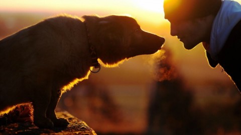 Chi ha un cane è più sexy, ma… occhio alla taglia! – Velvet Pets Italia (Blog)
