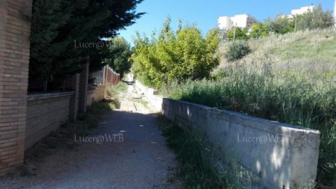 Aiuto: ho visto un serpente! – Lucera Web