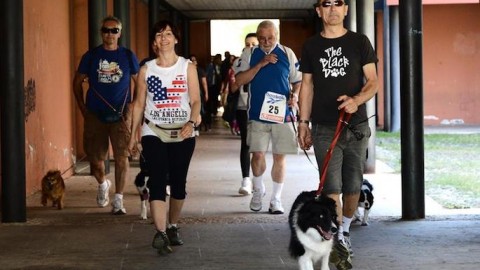 Fusignano, ritorna la “Bau Run”, camminata a sei zampe per cani e … – Lugonotizie.it