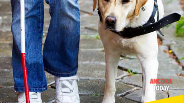 donazione di cane guida ad un non vedente da parte del lions club ancona host -3