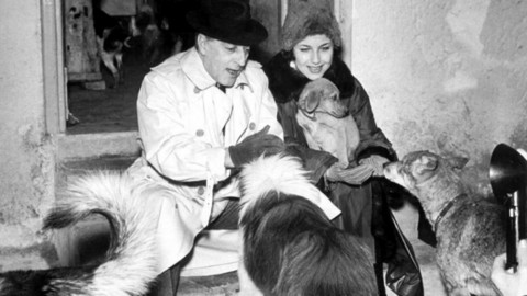 “Il cane è tra il bambino e l'angelo”: il grande amore di Totò per gli … – Velvet Pets Italia