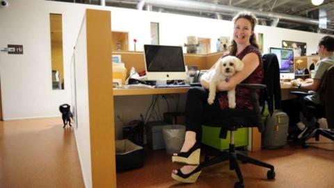 Oggi è la giornata mondiale dei cani in ufficio – TGCOM