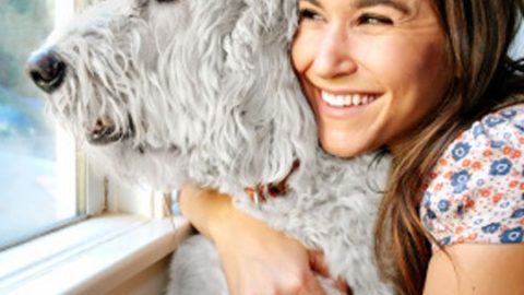 Cani e gatti: 10 consigli per affrontare al meglio l'estate – Io Donna