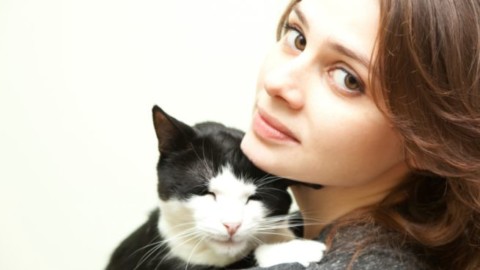 Allergia al pelo dei gatti: i consigli degli esperti – Blogosfere (Blog)