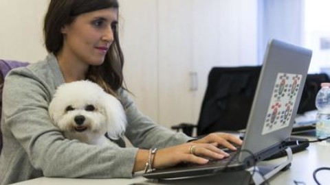 E' la Giornata del cane in ufficio. Con gli animali si lavora di più e … – Affaritaliani.it