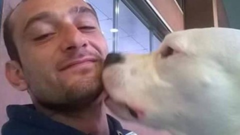 «Salvate il mio cane Iceberg, la Danimarca vuole ucciderlo». Eital … – Il Messaggero