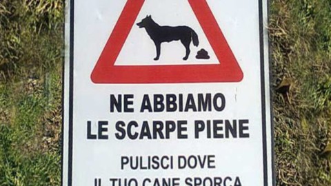 Molini di Triora, linea dura contro gli incivili con il cane – Riviera24.it