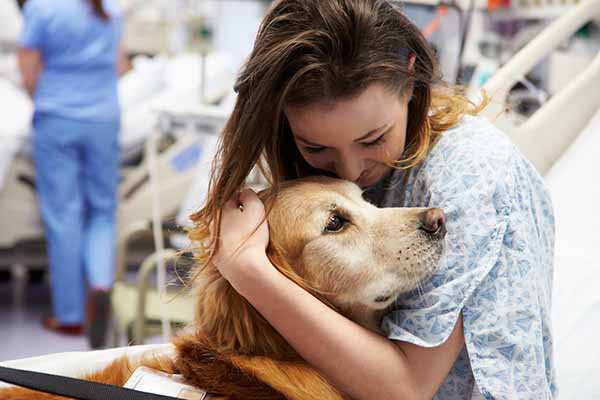 cane pet therapy