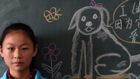 La politica cinese del cane unico fa bene ai cani – Il Foglio