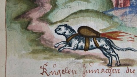 I Gatti-Razzo: l'Arma Segreta per l'Assedio di una Città o un Castello – Vanilla Magazine