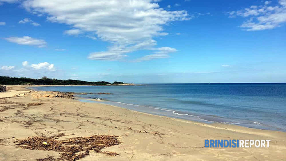 Un tratto della spiaggia di Rosa Marina-2