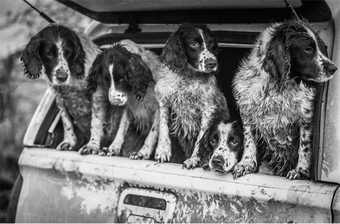 All Picked Up @Lucy Charman
