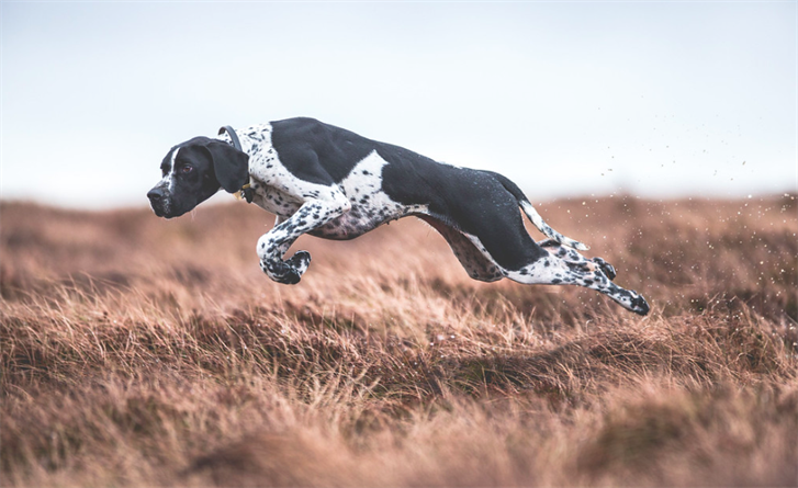 On the move @Sarah Coldecott