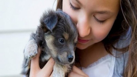 Cani per bambini: le razze più adatte a crescere con i nostri figli – PassioneMamma