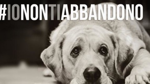 #ionontiabbandono: la campagna della Lega del cane – Il Secolo XIX