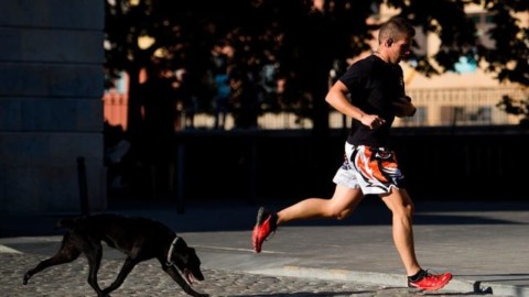Uomo e cane, un'amicizia lunga 40.000 anni, o forse no: facciamo … – Scienze Fanpage