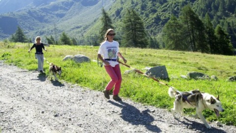 Soccorso Alpino, un weekend da cani: “Dobbiamo salvare persone … – La Gazzetta dello Sport