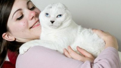 Storia di Otitis, il gatto speciale che si prende cura di Molly – www.amoreaquattrozampe.it (Blog)