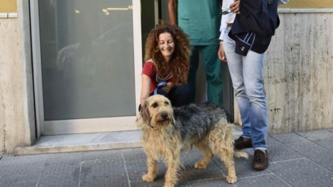 Cani nel mirino dei sadici, Rapallo si mobilita – Il Secolo XIX