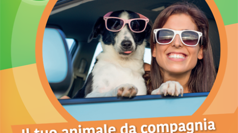 Arriva l'estate e torna il dramma dell'abbandono degli animali. La … – Informazione.Tv