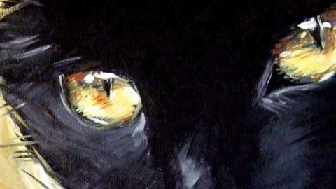 Gatti di lungo corso – Mangialibri