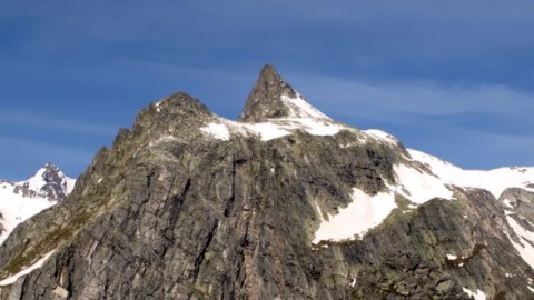 Archeologia: sulle Alpi svizzere trovato il fossile di un rettile corazzato – Meteo Web
