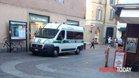 Cane morde bimbo di quattro anni in via Italia: multa alla proprietaria – Monza Today