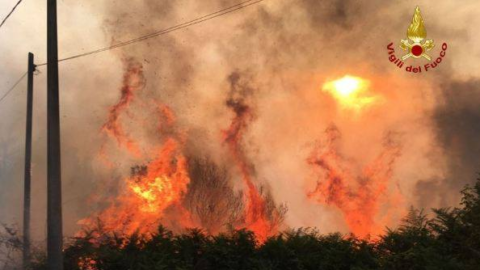 La bufala dei gatti cosparsi di benzina per gli incendi sul Vesuvio – next