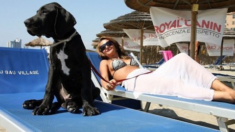 Amici a 4 zampe, compagni inseparabili durante le vacanze per 2 italiani su 5 – Palermomania.it