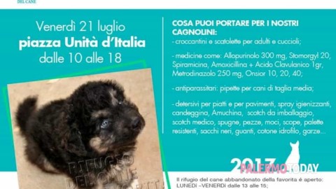 Viveri e farmaci per i cani del Rifugio della Favorita, la raccolta a … – PalermoToday