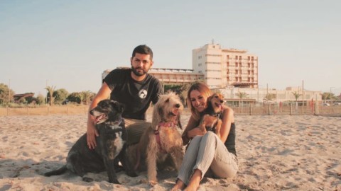 Cose da cani, i “consigli bestiali” dell'educatore. Ecco le 10 regole d … – vistanet (Comunicati Stampa)