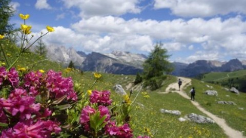 Con i nostri cani in vacanza? Ecco qualche utile consiglio – L'Eco di Bergamo (Registrazione)