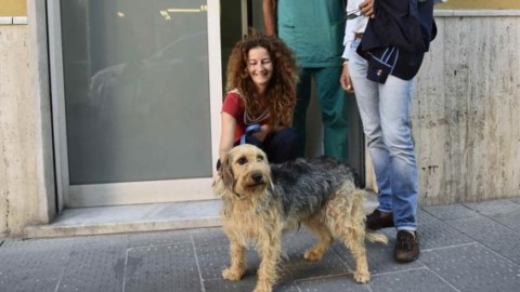 Genova, 16 cani uccisi dalle esche: ora scattano le ronde – Il Secolo XIX