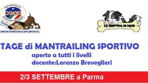 Stage di Mantrailing Sportivo Csen – La Provincia