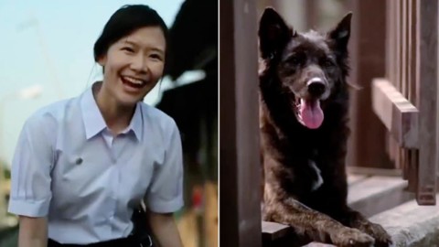 Aveva paura dei cani, ma uno di loro le cambia la vita e ora li salva – La Stampa