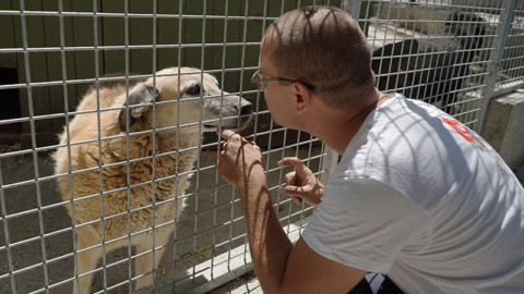 Un anno dopo Amatrice. Verso la Protezione civile per gli animali