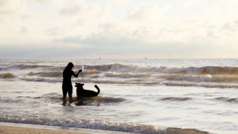 Divieto di introdurre il cane in spiaggia e nei musei, la protesta – Centropagina