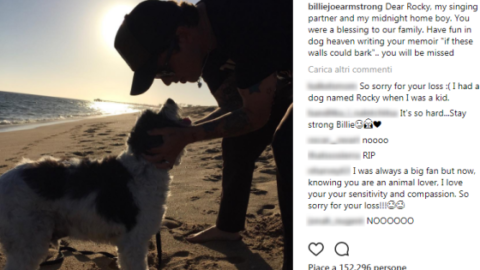 Billie Joe Armstrong dei Green Day dice addio al suo cane: “Divertiti … – 105.net