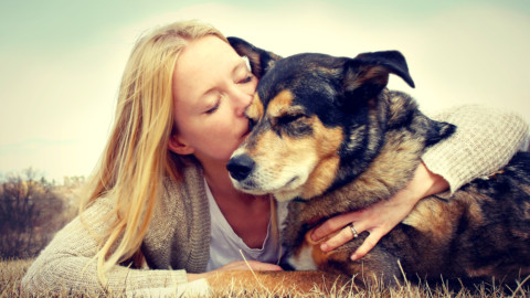 Morso di cane: cosa fare? – Donna Moderna