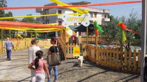 Napoli, il parco giochi è a misura di cane: inaugurato Happy Dog – Il Mattino