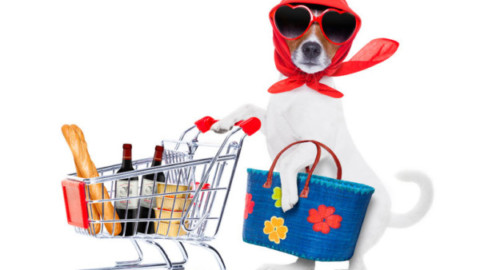 Il cane può entrare al supermercato? – La Legge per Tutti