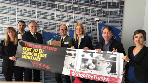 #STOPTHETRUCKS – Il trasporto degli animali di nuovo sull?agenda della Commissione UE
