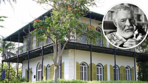 Irma, la casa di Hemingway resta intatta: “Salvi tutti i 54 gatti al suo … – Leggo.it