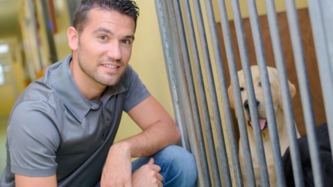 La scelta del cane è una cosa seria. Pareri, consigli e cose da sapere – LifeGate