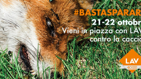 &quot;Troppo violenta&quot; Milano censura campagna caccia. Sindaco Sala stia con noi!