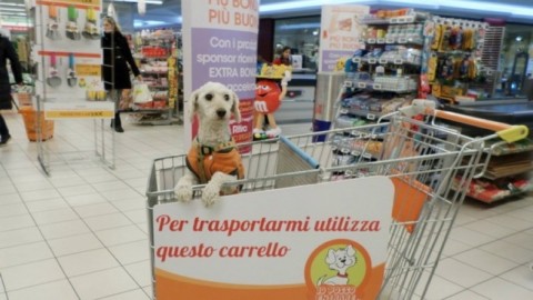 Accesso dei cani nei supermercati