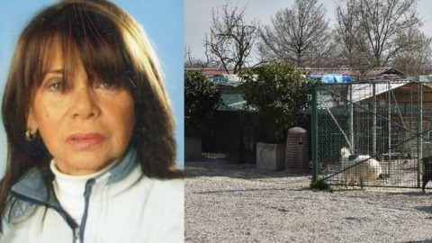 Venezia, l'albergatrice muore ​e lascia un milione di euro ai cani – Il Messaggero
