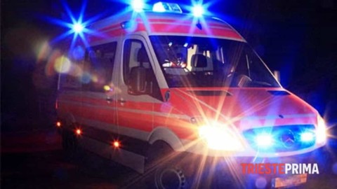 Grave incidente a Opicina: donna in codice rosso e cane morto sul … – Triesteprima.it